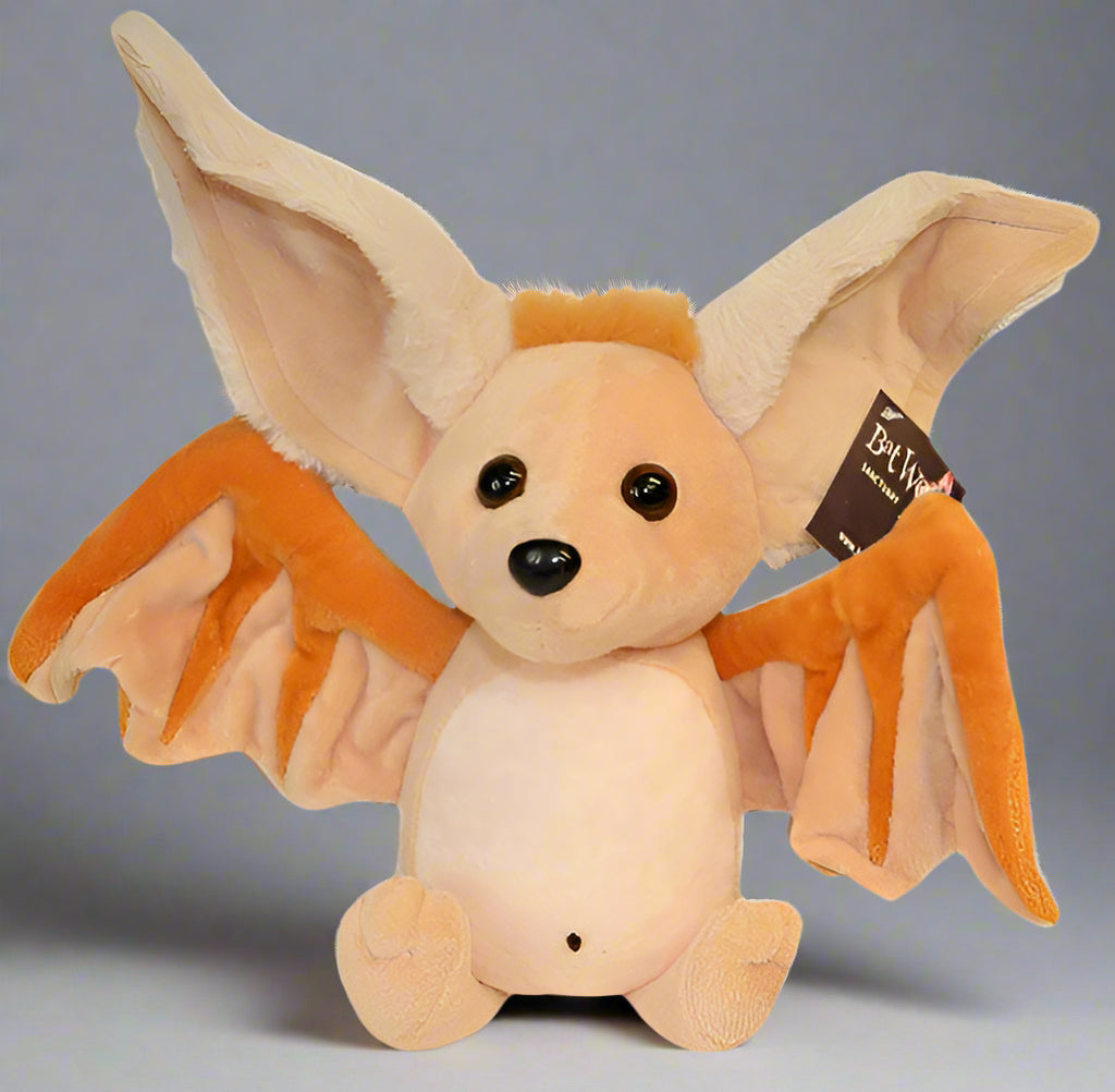 Bart the Bellybutton Bat