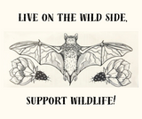 Free-tail 'Bat'too