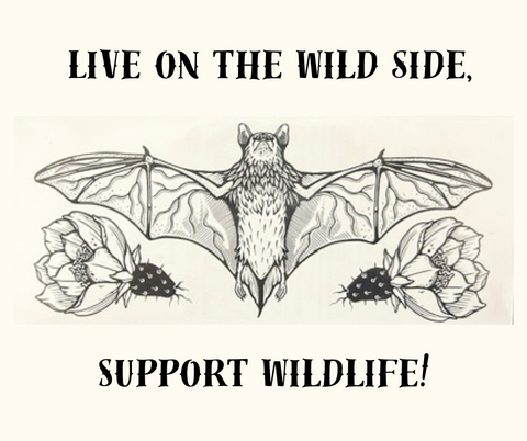 Free-tail 'Bat'too
