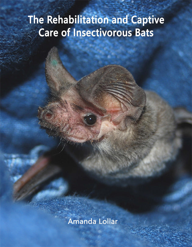 The Rehabilitation and Captive Care of Insectivorous Bats