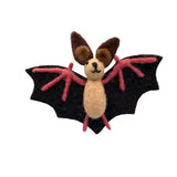 A Long-Eared Bat named Feltie