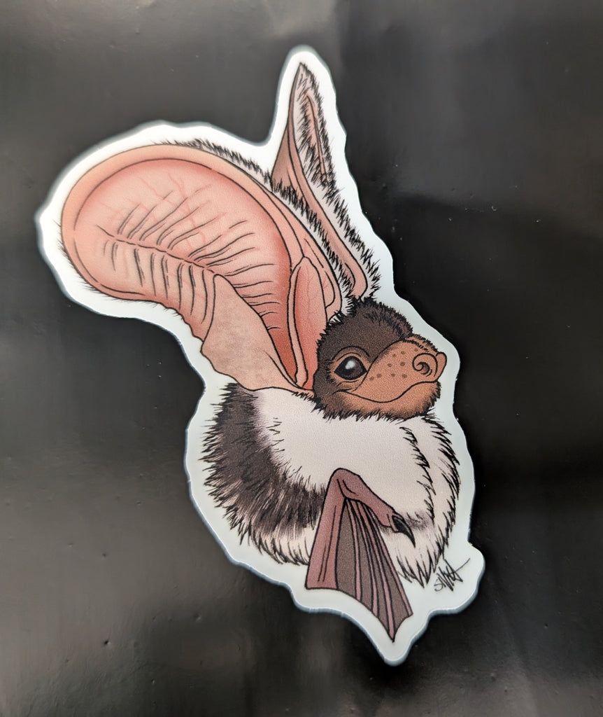 Spotted Bat Vinyl Sticker