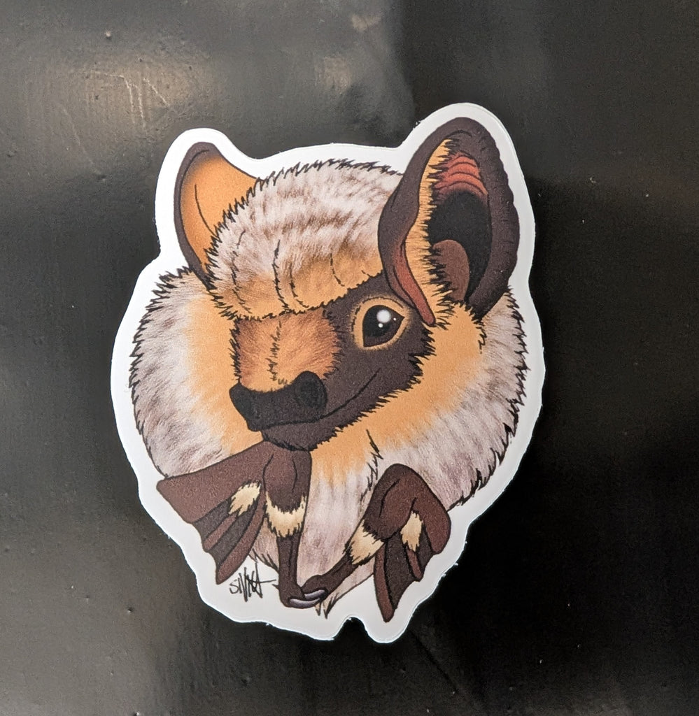 Hoary Bat Vinyl Sticker