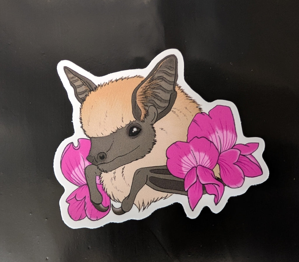 Canyon Bat Vinyl Sticker