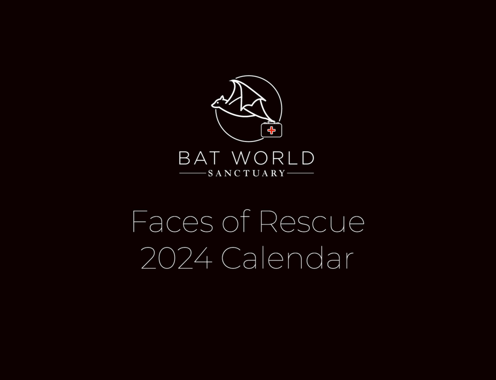 Bat World Sanctuary 2024 Calendar