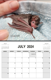Bat World Sanctuary 2024 Calendar
